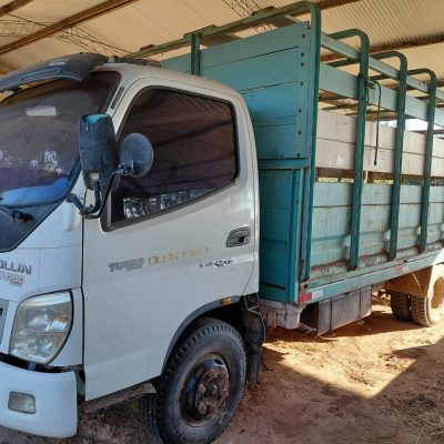 Foton Ollin I 3800