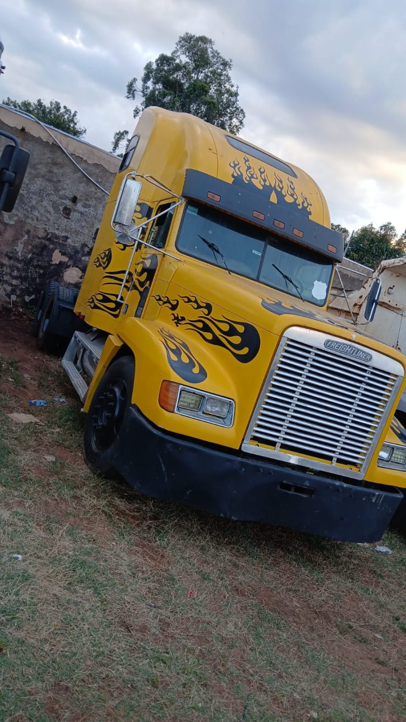 Camion Freightliner - Imagen 3