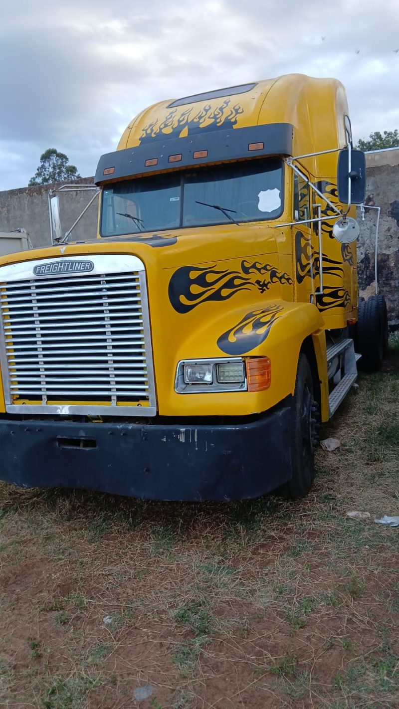 Camion Freightliner - Imagen 2