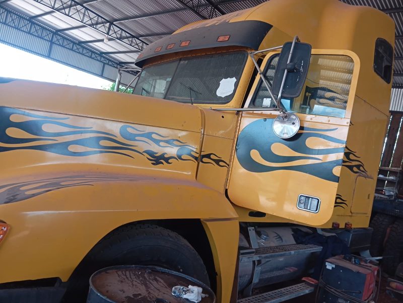 Camion Freightliner - Imagen 6
