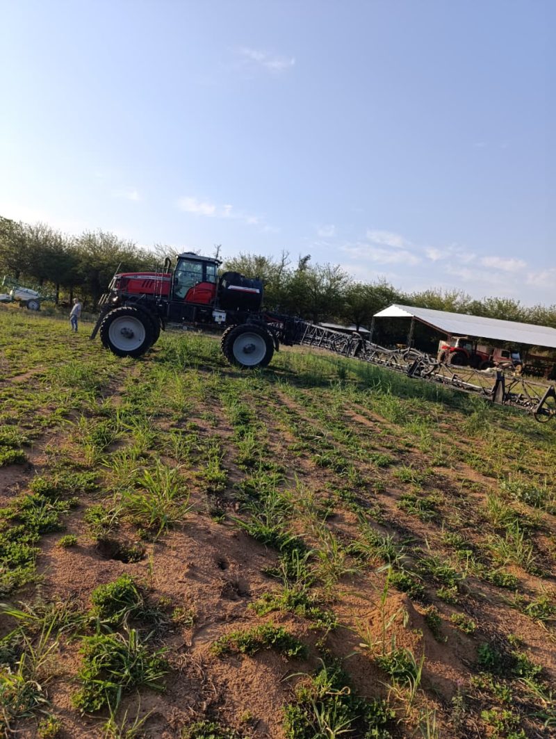 Massey Ferguson - Imagen 2