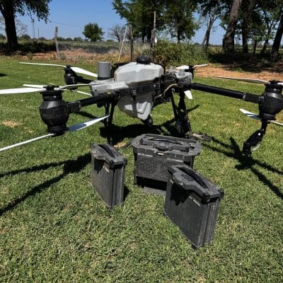 Drone DJI T50